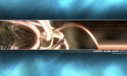 800x480 Taustakuva #1610