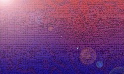 800x480 Taustakuva #1764