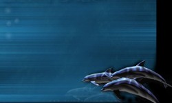 800x480 Taustakuva #1771