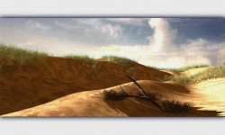 800x480 Taustakuva #1779