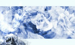480x272 Taustakuva #1982