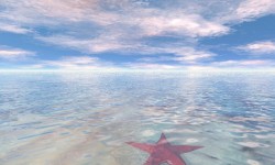 800x480 Taustakuva #2035