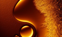 320x240 Taustakuva #2263