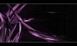 800x480 Taustakuva #2415
