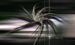 800x480 Taustakuva #2476