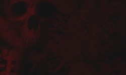 800x480 Taustakuva #2814