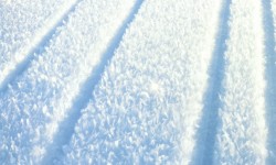 320x240 Taustakuva #3080
