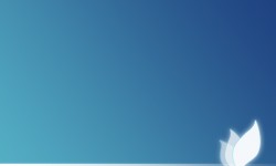 800x480 Taustakuva #3107