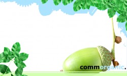 800x480 Taustakuva #3268