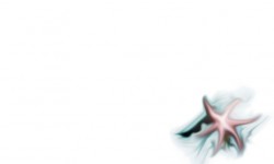 800x480 Taustakuva #3466